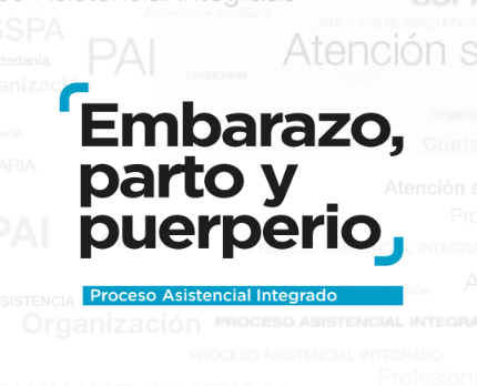 Proceso Asistencial Integrado: Embarazo, parta y puerperio